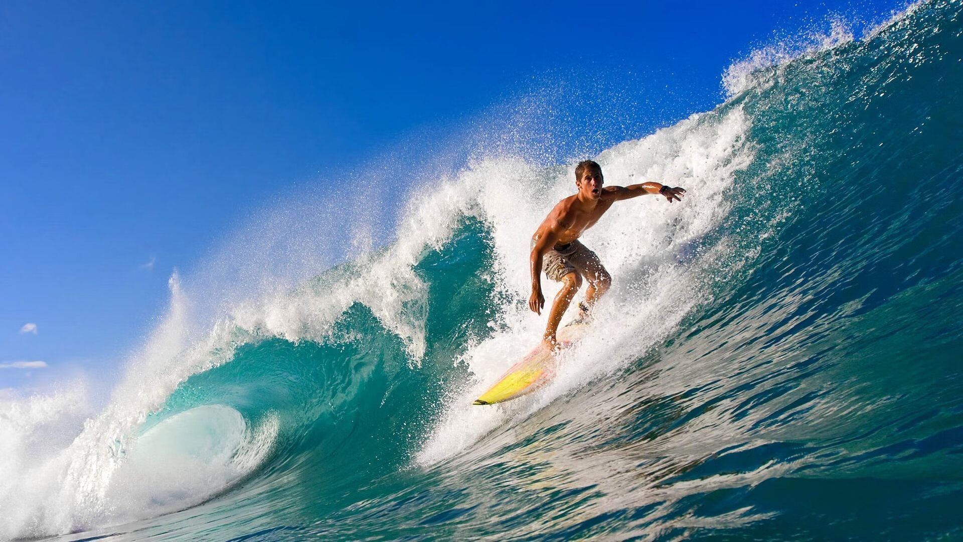 体育新闻中心独家专题上线，体育新闻官网